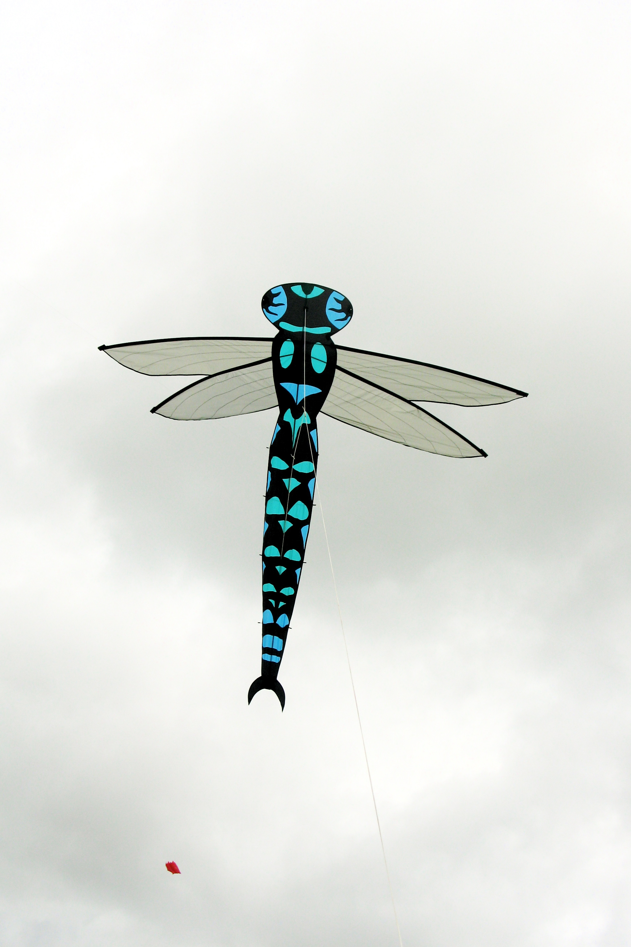 Dragonfly 